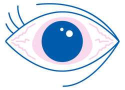 occhi-secchi